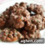 Chocolate and peanut crockpot candy with christmas sprinkles