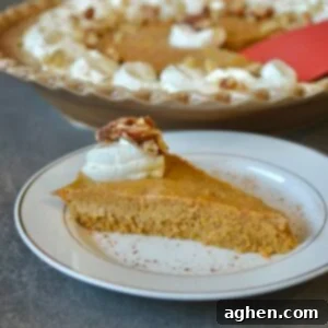 Slice of crustless pumpkin pie