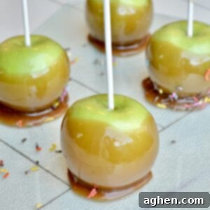 Weight Watchers Caramel Apple Treat 6 Caramel apple on a stick