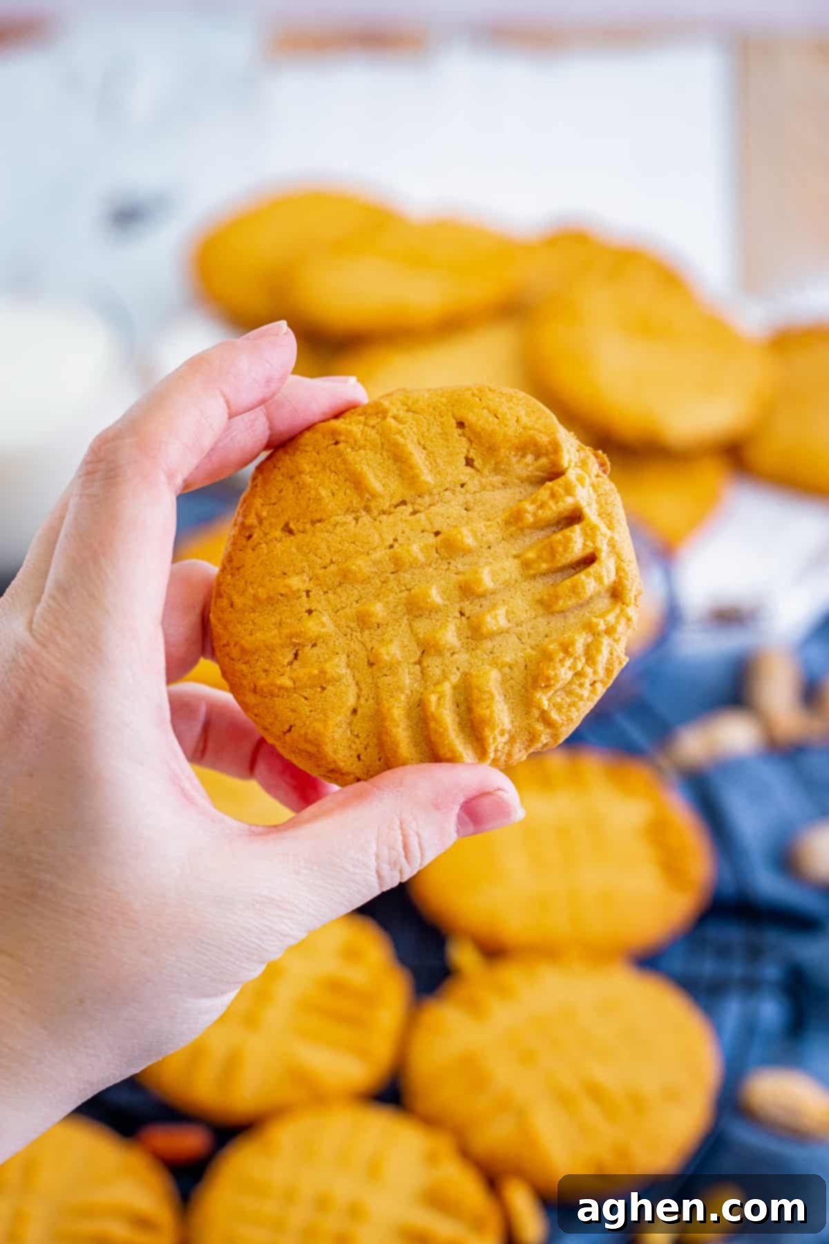 Hand holding a large, perfectly baked, crispy old-fashioned peanut butter cookie with distinct fork marks on top.