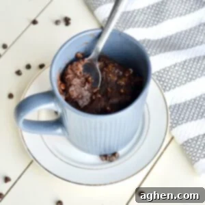 Guilt-Free Brownie Mug Bliss 6 Brownie mug cake