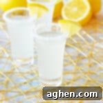 Lemon drop shot with rimmed glass and lemon garnish.