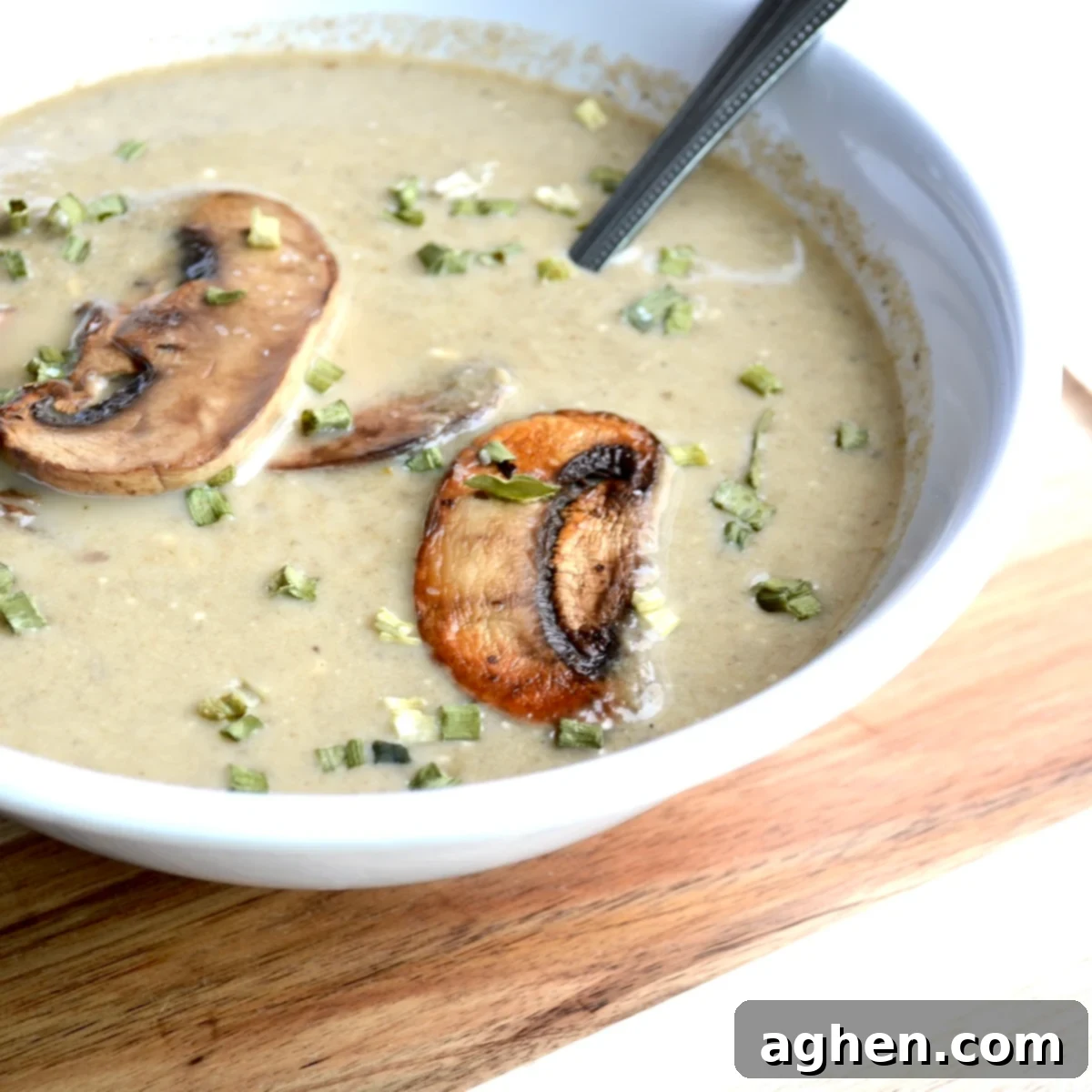 Close up image of cream of mushroom soup