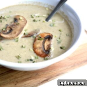 weight watchers cream of mushroom soup in white bowl