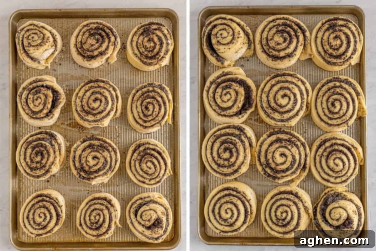 Cookies and Cream Dream Buns 11 Cinnamon rolls arranged on a baking sheet before and after their second rise, showing increased size.
