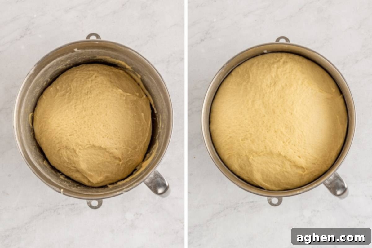 Cookies and Cream Dream Buns 7 Cinnamon roll dough before and after rising, showing a significant increase in volume.
