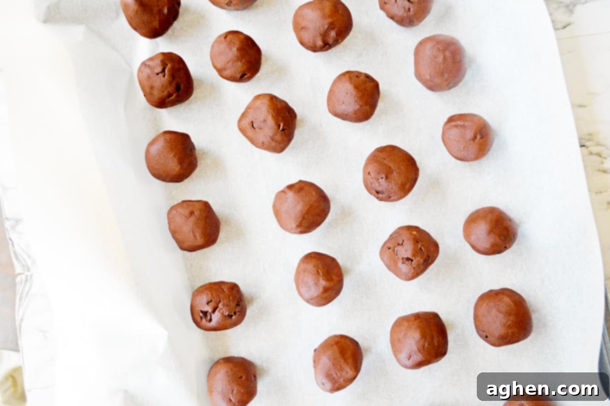 Decadent Double Chocolate Snowballs 8 Neatly arranged balls of chocolate cookie dough placed on a baking sheet, ready for baking.