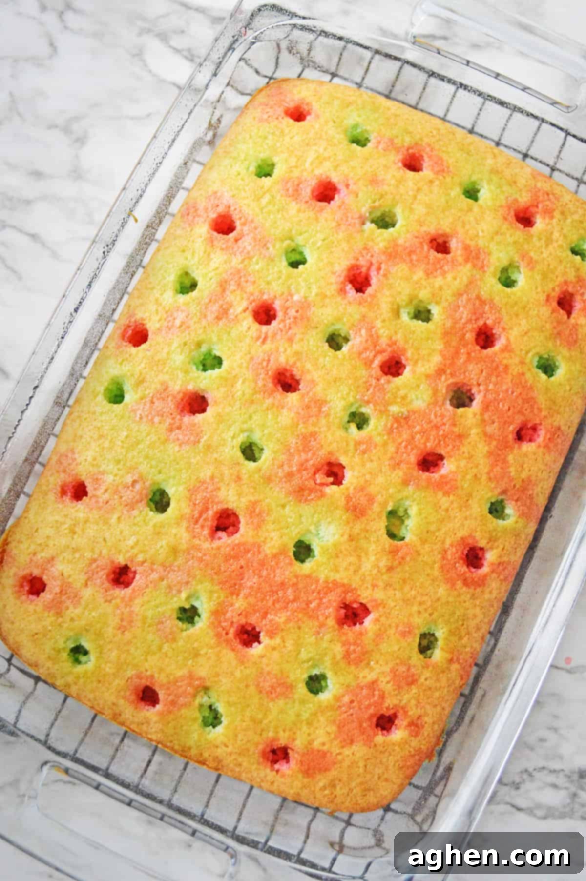 Rectangular vanilla cake poked with holes over the entire cake, each about 1 inch apart. Red and green jello has been poured into holes in an alternating pattern, creating a festive look.