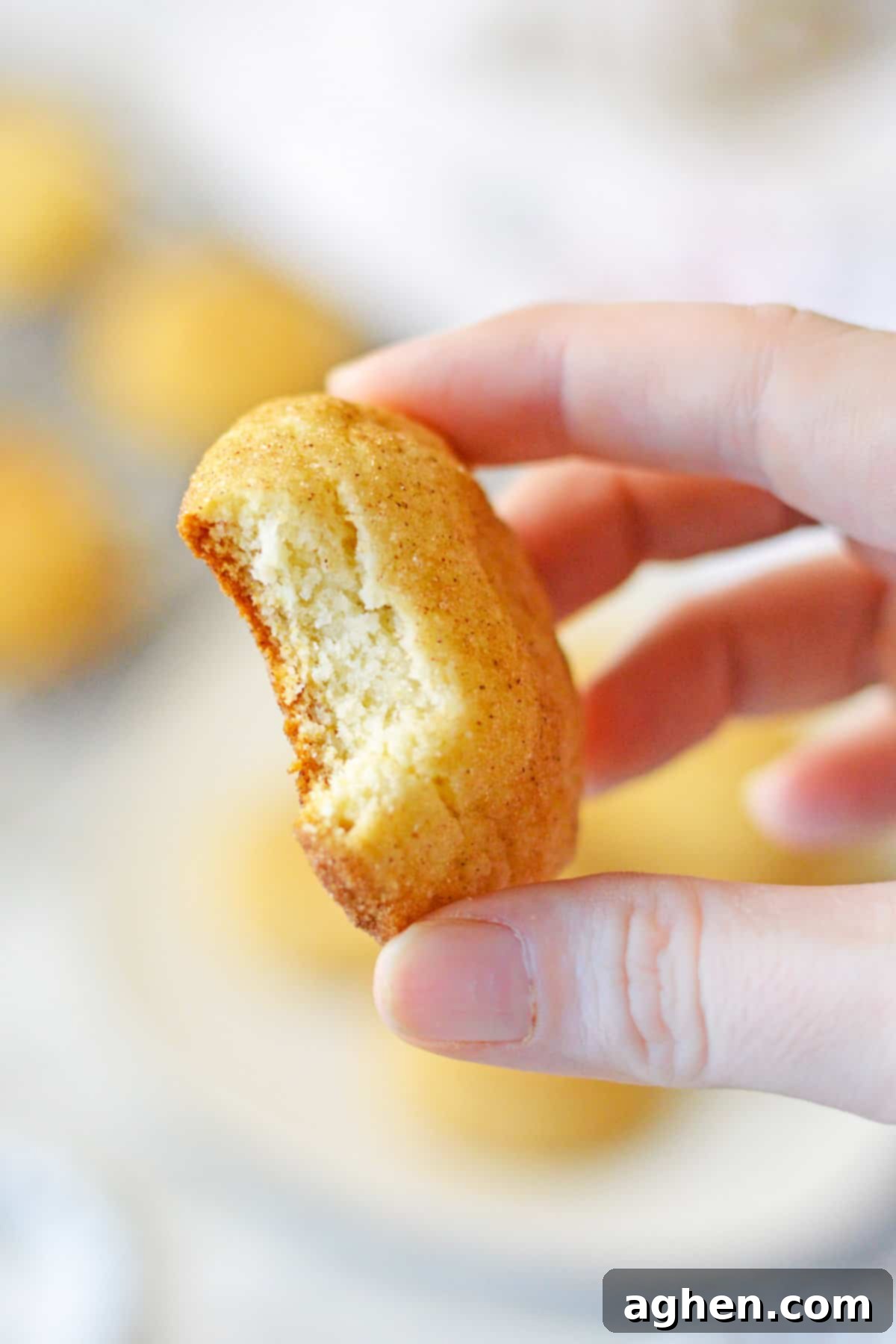 Hand holding snickerdoodle cookie with a bite taken out of it.