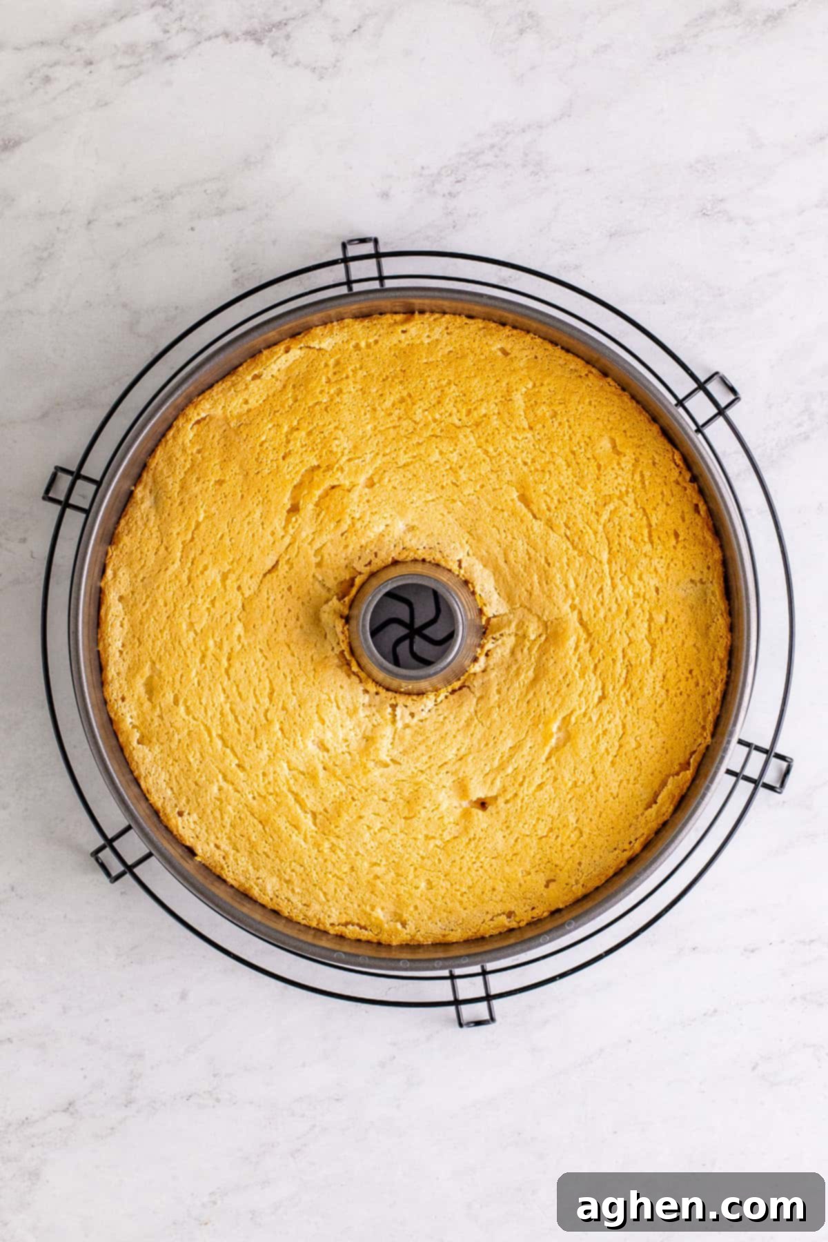 Freshly baked homemade angel food cake in tube pan on round wire cooling rack.