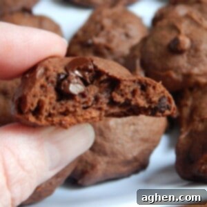 Decadent Double Chocolate Peanut Butter Banana Cookies 2 Double Chocolate Peanut Butter Cookies