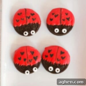 Oreo cookies dipped in red chocolate and decorated to look like ladybugs with heart spots for Valentine's Day.