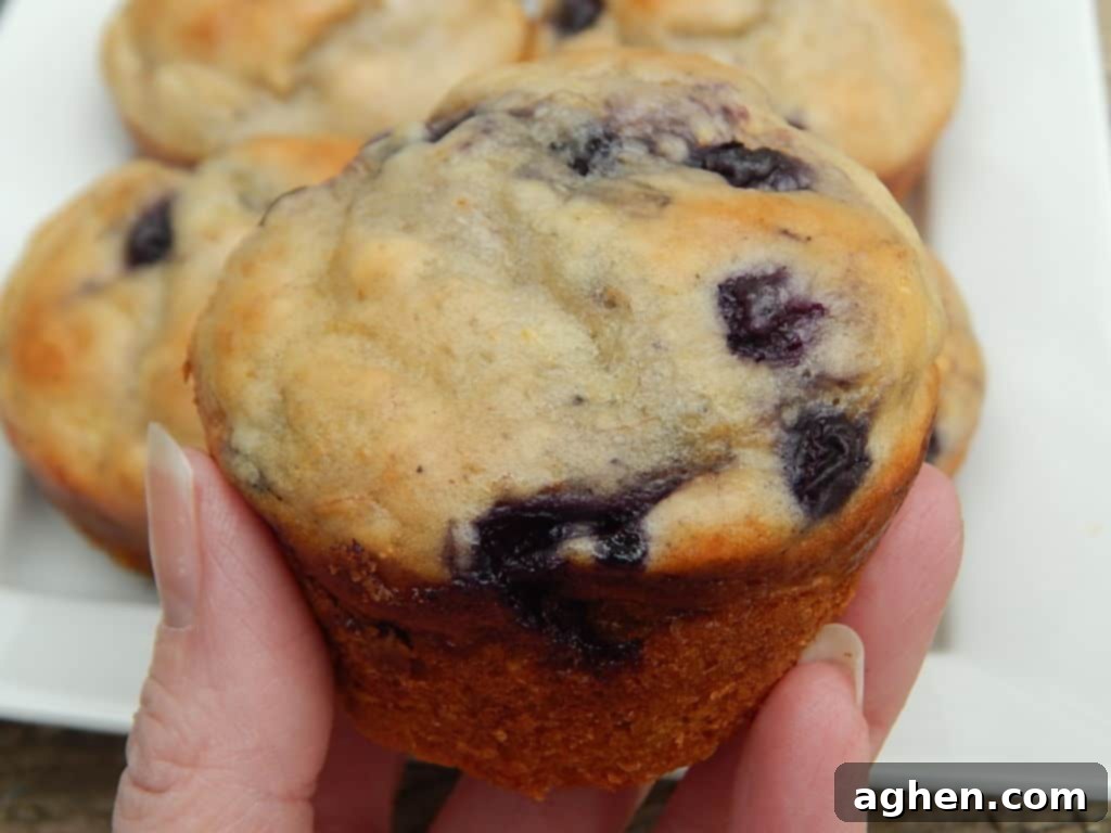 Freshly baked blueberry lemon yogurt muffins on a cooling rack, ready to be enjoyed