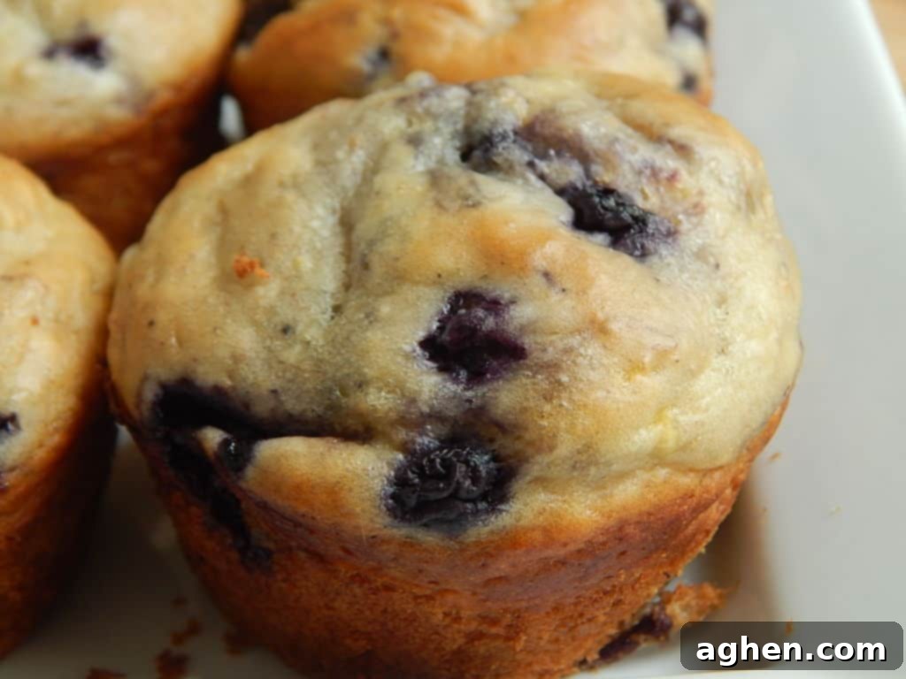 A charming close-up of a blueberry lemon yogurt muffin, highlighting its vibrant colors