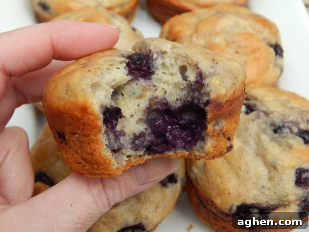 A beautifully presented plate of blueberry lemon yogurt muffins, garnished with fresh fruit