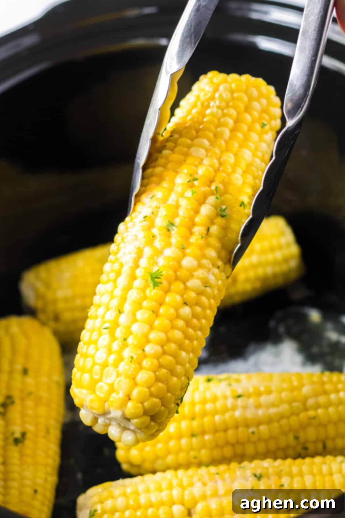 Effortless Slow Cooker Corn 3 Corn on the cob in the slow cooker being lifted out with tongs.