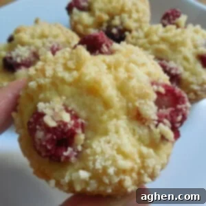 Raspberry Crumb-Top Muffins 2 img 6869 2