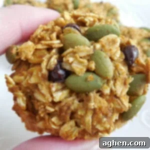 Cozy Pumpkin Oatmeal Chocolate Chip Cookies 2 Close-up of a pumpkin oatmeal chocolate chip cookie, showing texture and ingredients.