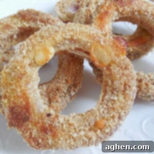 Golden Oven-Baked Onion Rings 2 crispy baked onion rings