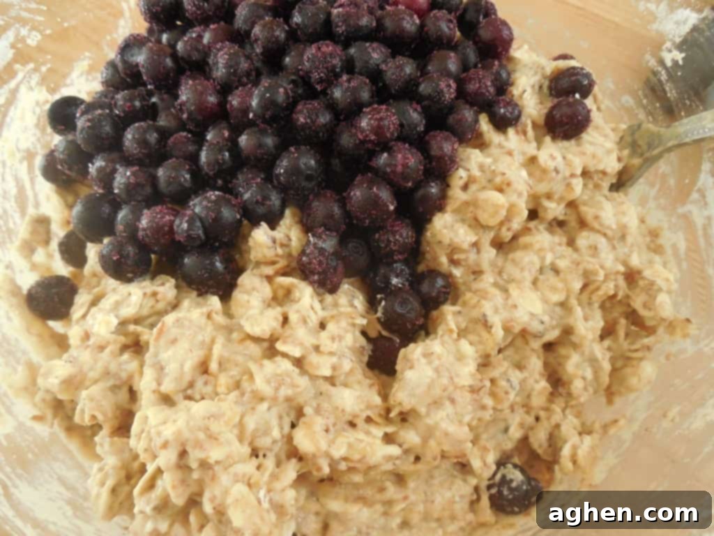 Fresh Blueberries Ready for Baking Oatmeal Cookies