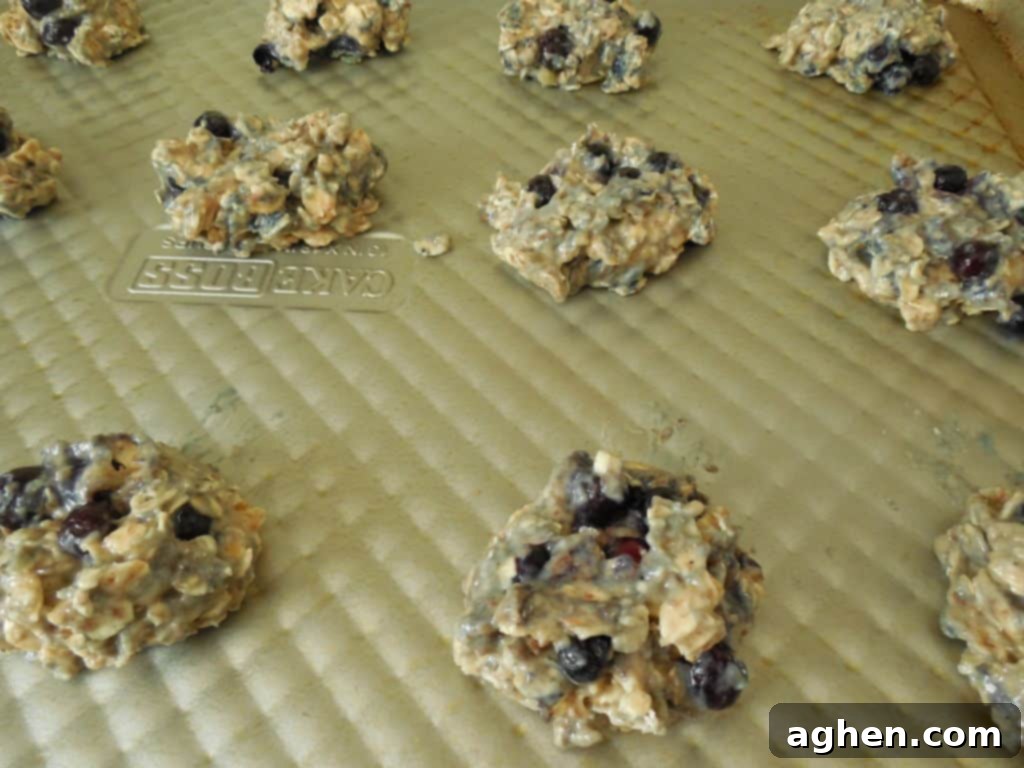 Baked Oatmeal Blueberry Cookies on a Cooling Rack