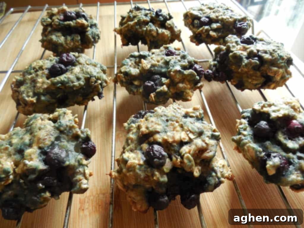 Weight Watchers Friendly Oatmeal Blueberry Cookies