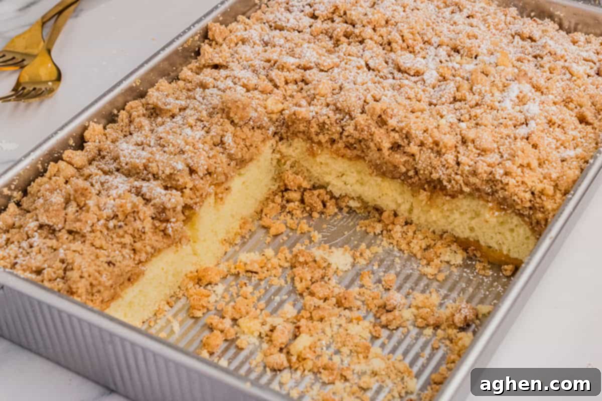 Simple Crumb Cake Perfection 3 Shortcut New York style crumb cake in metal baking pan with some slices removed.