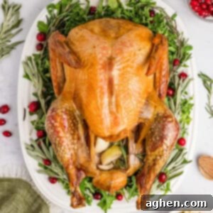 Dry Brine Cheesecloth Turkey for Thanksgiving.