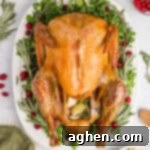 Dry Brine Cheesecloth Turkey for Thanksgiving.