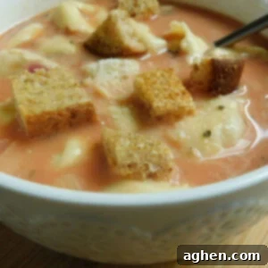 Comforting Tomato Tortellini Soup 2 img 7688 8