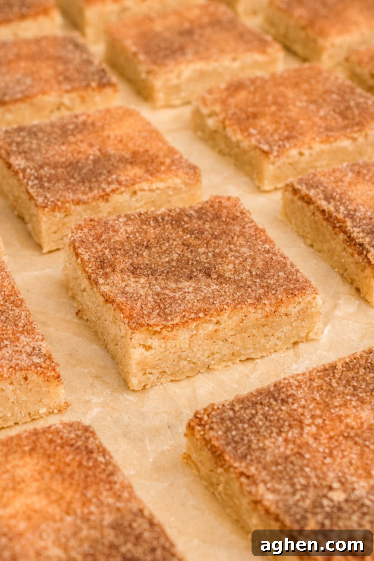 Snickerdoole bar cookies topped with ground cinnamon and sugar.