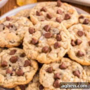 Plate filled with Ranger Cookies with cornflakes, chocolate chips, rice krispies cereal, and oats.