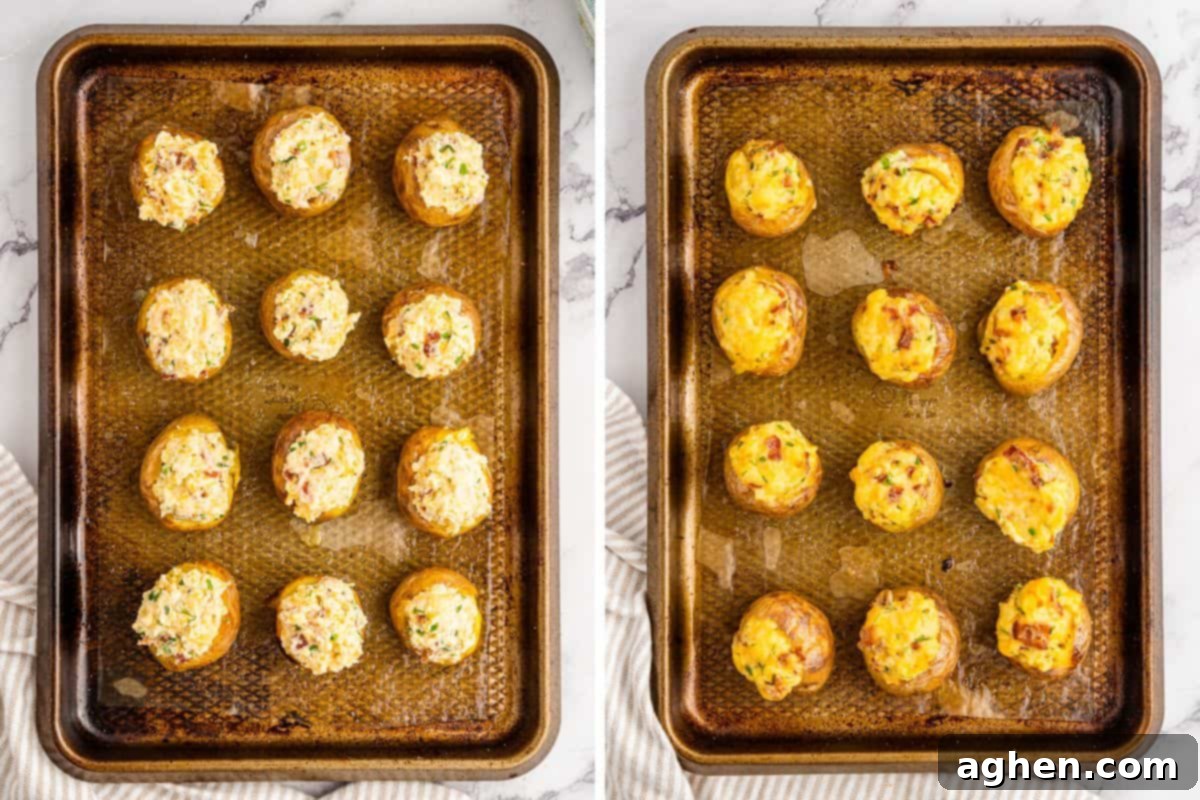 Side-by-side images demonstrating the final baking stage: on the left, hollowed-out mini potatoes are filled with the creamy bacon and cheese mixture on a baking sheet; on the right, the finished, golden-brown baked mini loaded potatoes are ready to serve.