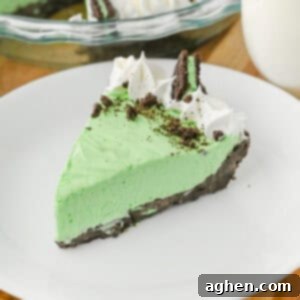 A close-up shot of a single slice of homemade No Bake Grasshopper Pie, elegantly served on a white plate. The slice showcases a vibrant green, smooth mint filling and a dark chocolate cookie crust, topped with luscious swirls of whipped cream, a scattering of crushed chocolate cookies, and a half Mint Oreo.