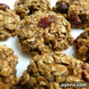 Tender Oatmeal Delights 2 A stack of soft oatmeal cookies with cranberries and dates