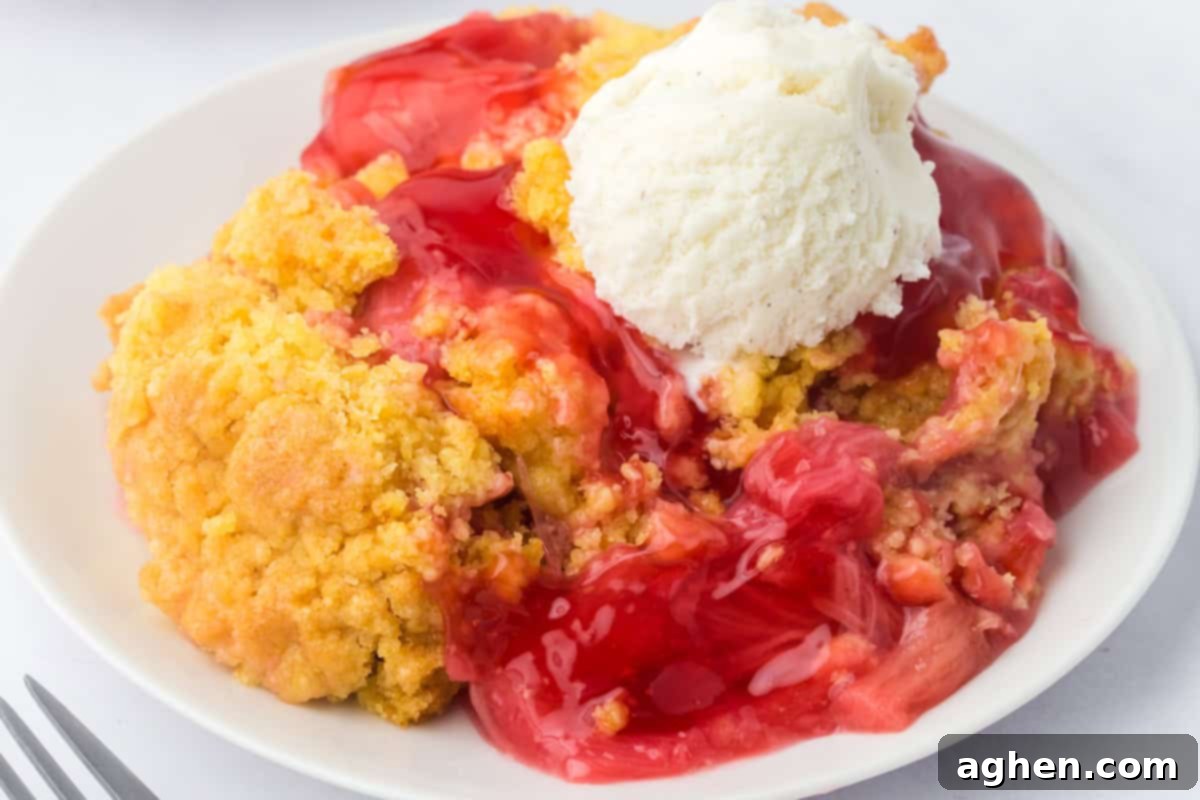 Easy Rhubarb Dump Cake 9 Plate of rhubarb dump cake, an easy rhubarb dessert, topped with vanilla ice cream, ready for serving or storage.