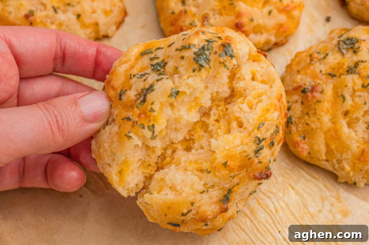 Fluffy Cheddar Biscuits 7 A hand holds a broken cheddar drop biscuit, revealing a soft, fluffy interior with visible cheddar cheese.