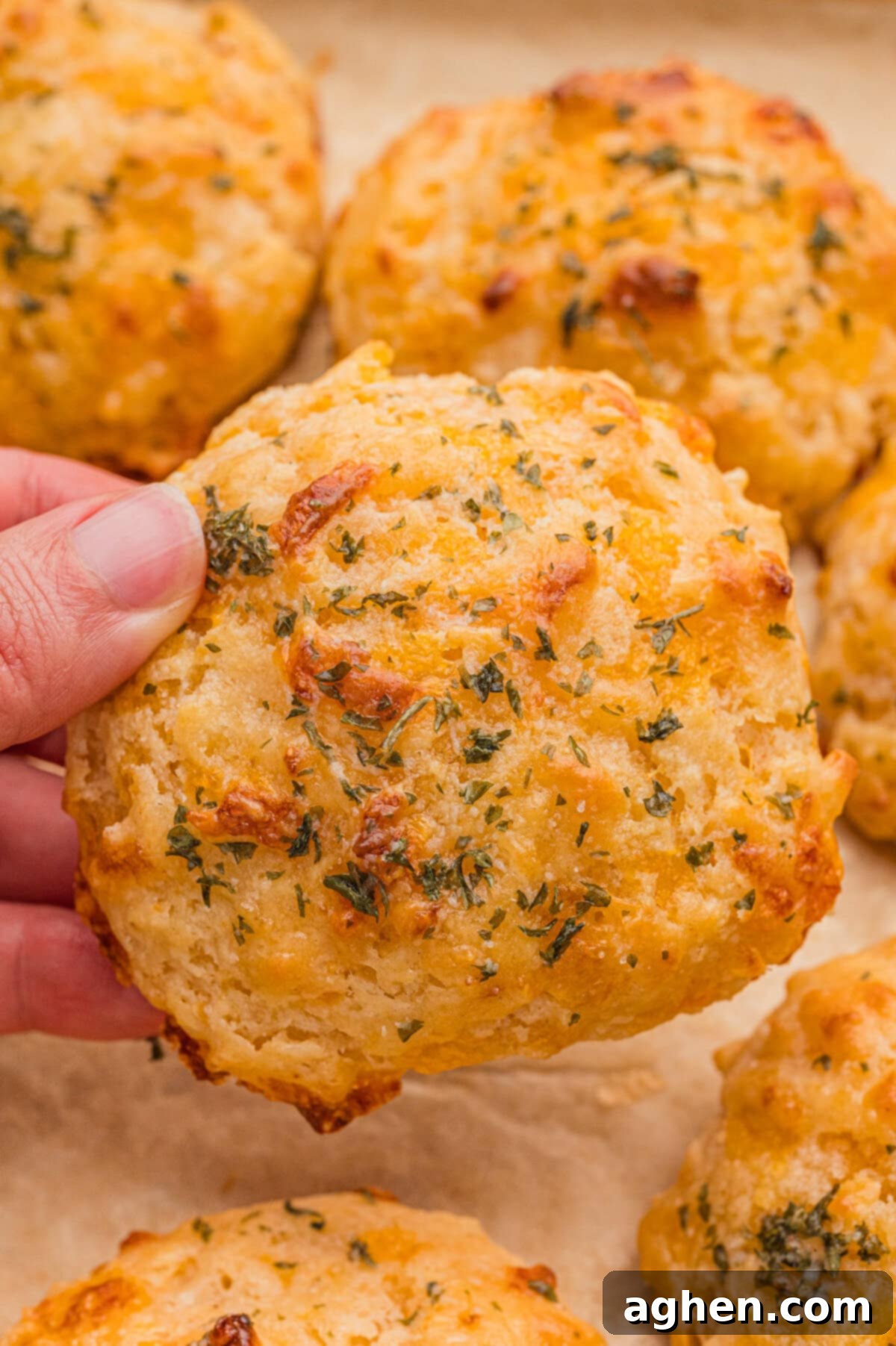 Fluffy Cheddar Biscuits 8 A hand holds a golden cheddar cheese biscuit close to the camera, highlighting its crisp edges, melted cheese spots, and sprinkled herbs. Other biscuits are on a baking sheet below.