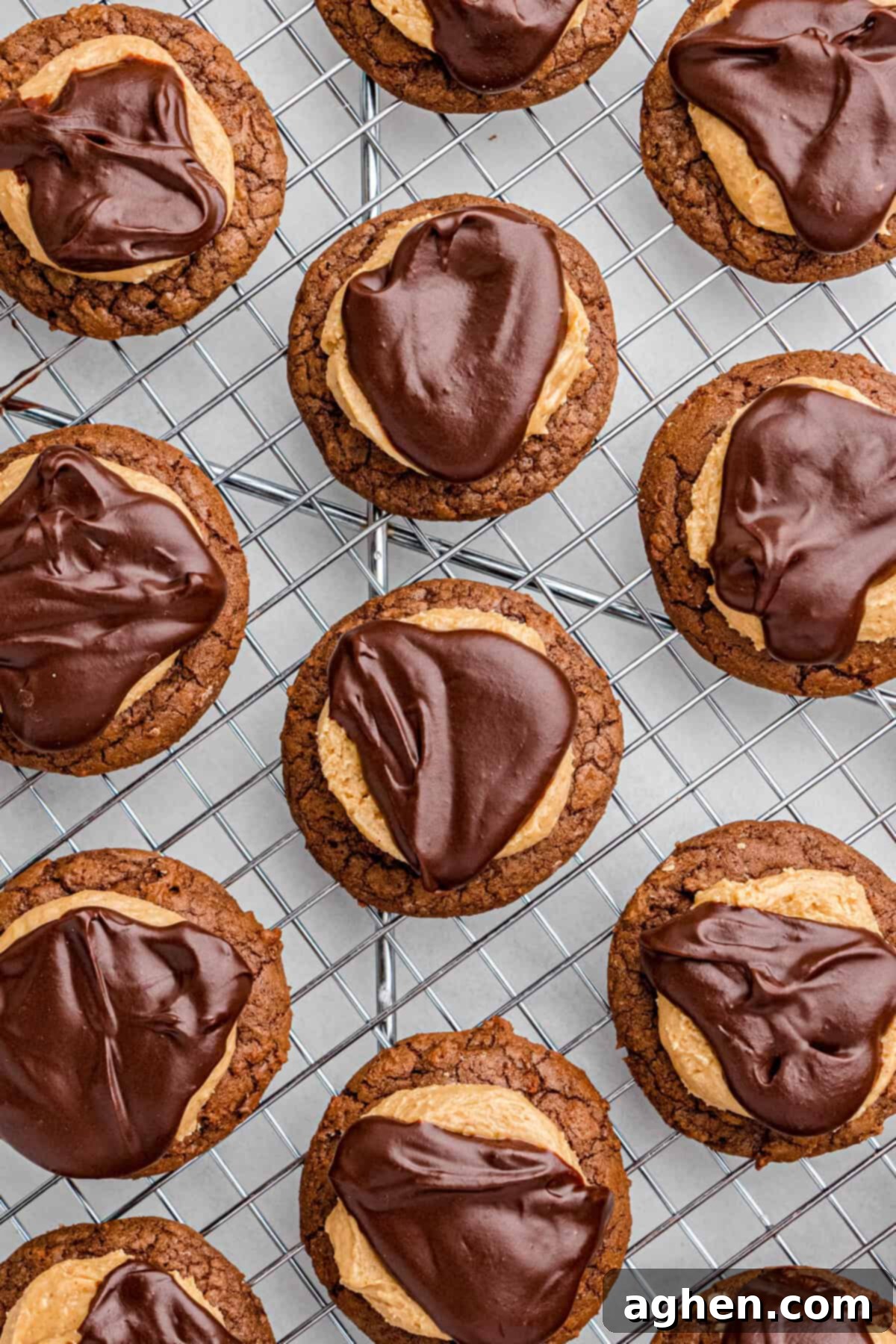 Buckeye cookies on a metal cooling rack, showing the chocolate cookie bases topped with peanut butter and glossy chocolate ganache.
