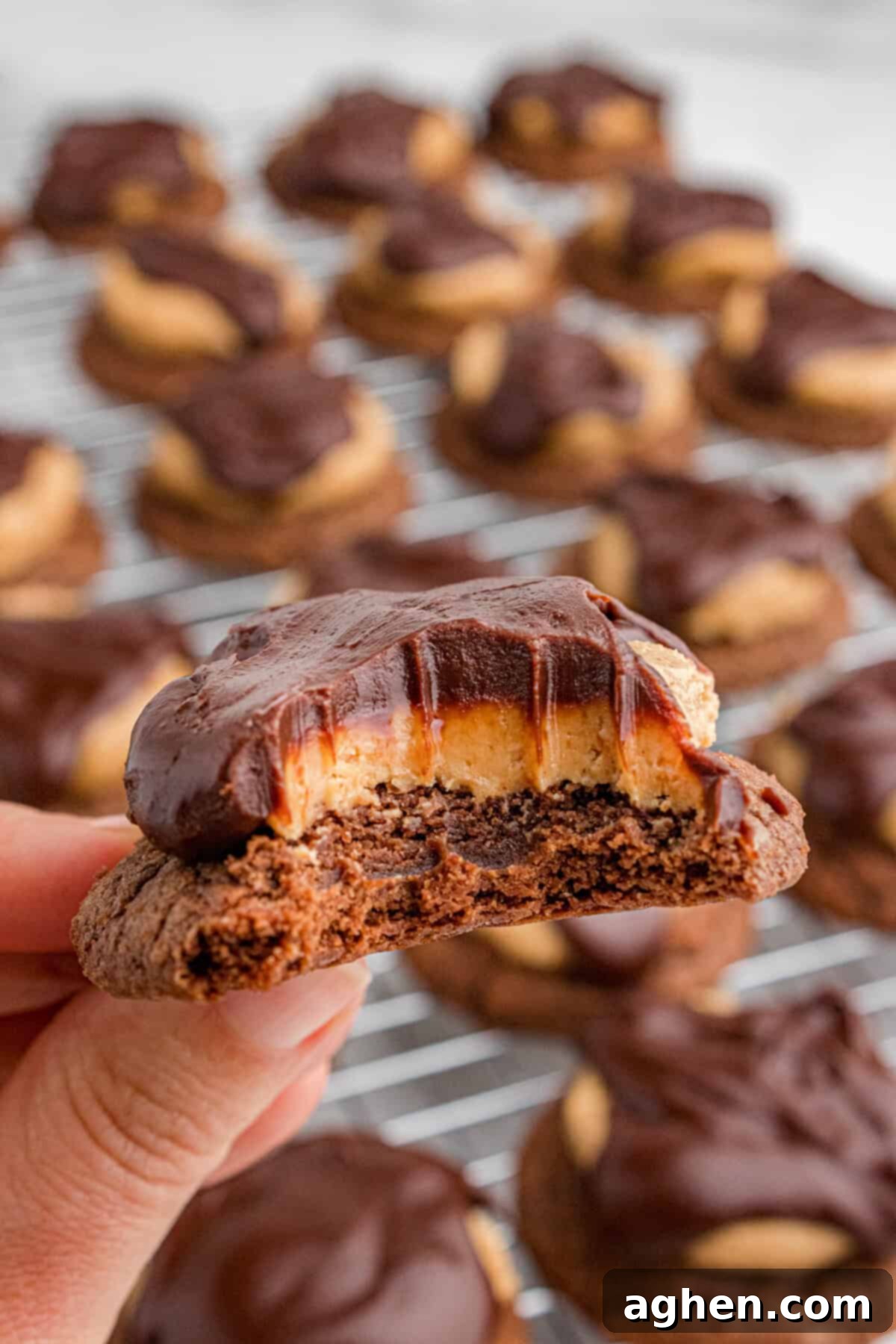 A hand holding a buckeye cookie with a bite taken out.