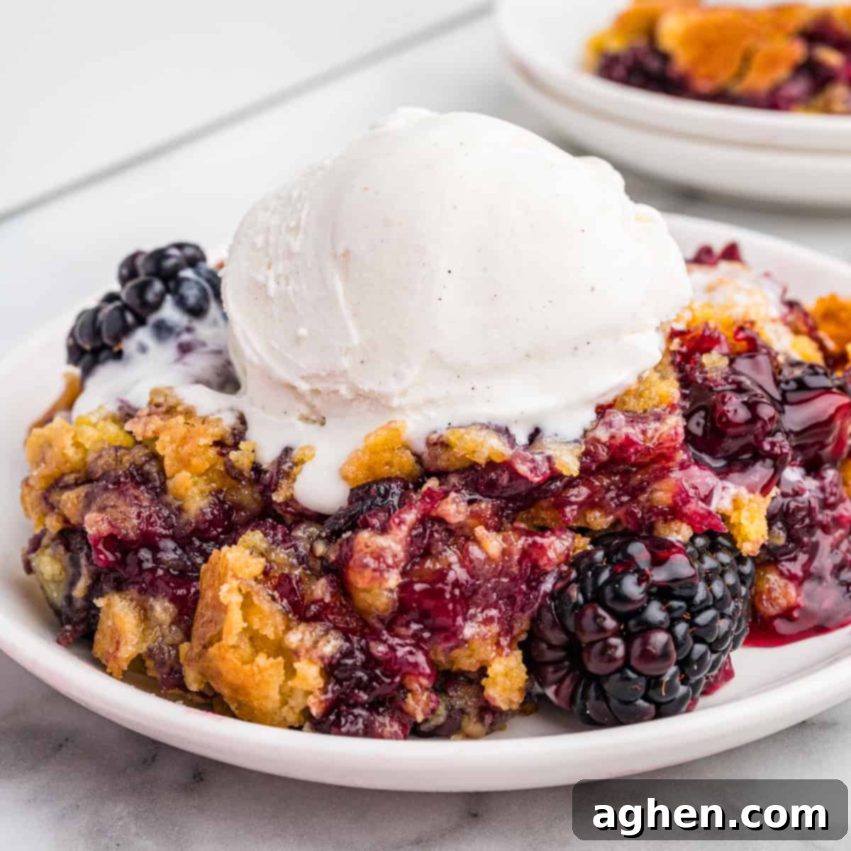 Blackberry dump cake topped with vanilla ice cream on a white plate.
