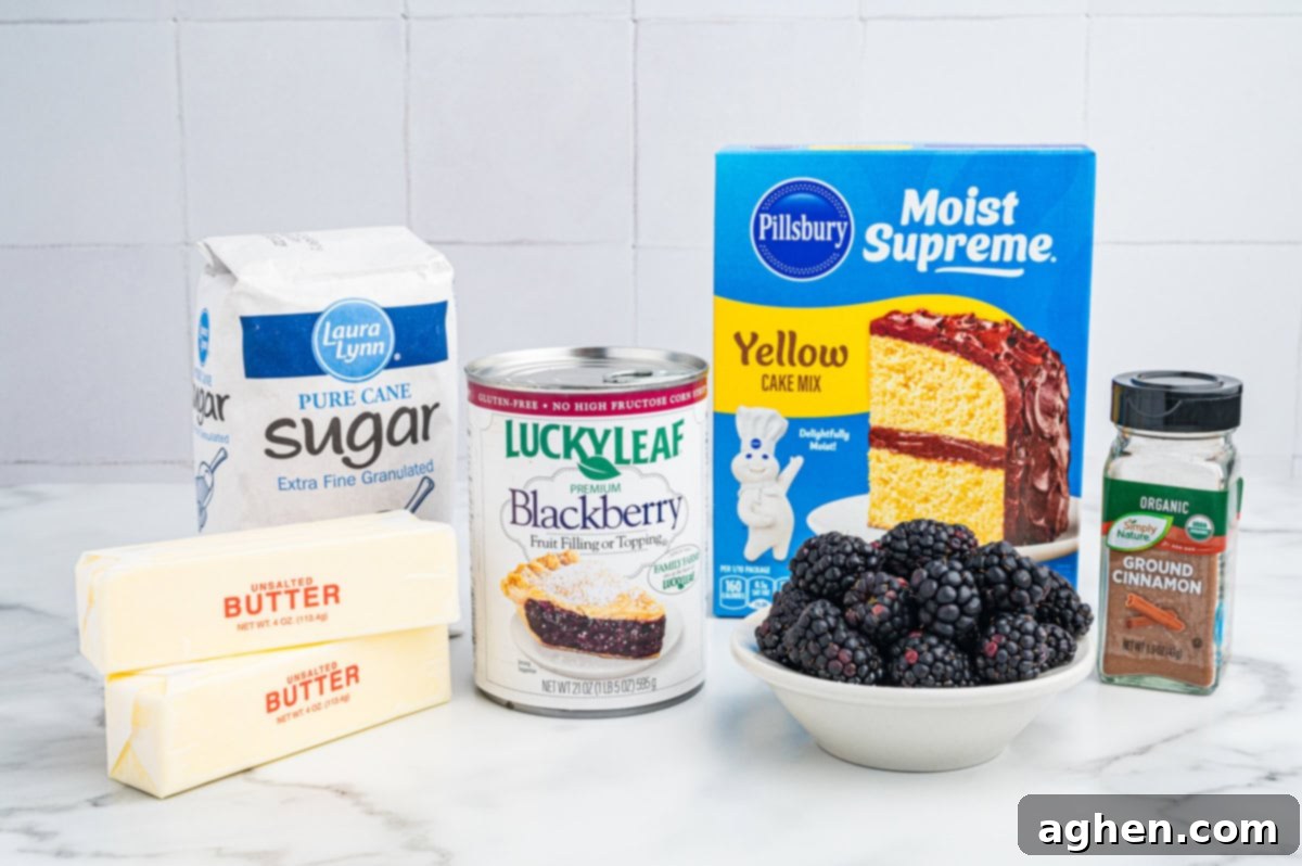 A display of blackberry dump cake ingredients including sugar, yellow cake mix, canned blackberry filling, fresh blackberries, ground cinnamon, and two sticks of butter.
