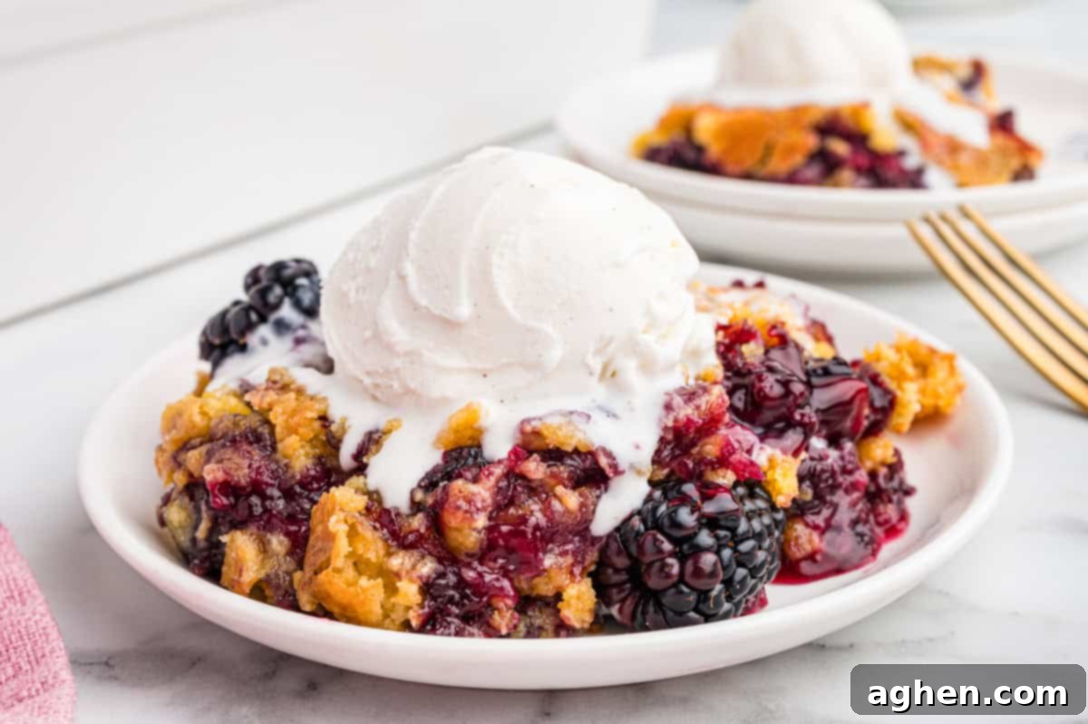 A serving of blackberry dump cake with golden, crumbly cake topping and juicy blackberry filling, topped with a scoop of vanilla ice cream starting to melt.