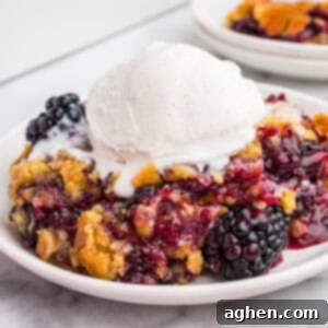 Blackberry dump cake topped with vanilla ice cream on a white plate.