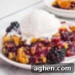 Blackberry dump cake topped with vanilla ice cream on a white plate.