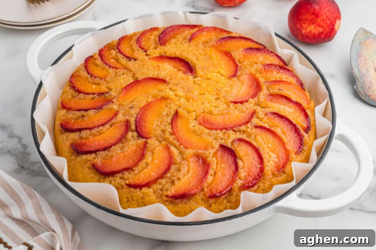 Foolproof Peach Upside Down Delight 10 A peach upside-down cake in a parchment-lined white round dish. The top of the golden cake is decorated with arranged slices of fresh peach in a circular pattern.