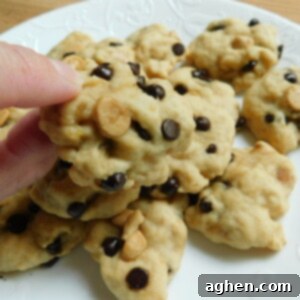A small pile of baked Chocolate Peanut Butter Banana Cookies