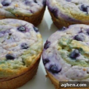 Heavenly Cream Cheese Blueberry Muffins 2 img 8589 8