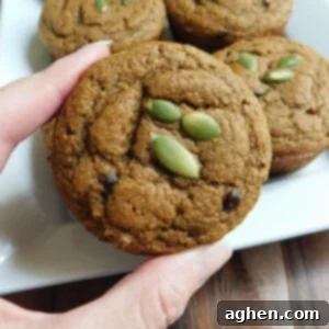 Close-up of a Kodiak Cakes Pumpkin Chocolate Chip Muffin with pumpkin seeds on top.