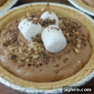 Mini S'mores Pie 2 Mini S'mores Pie on table